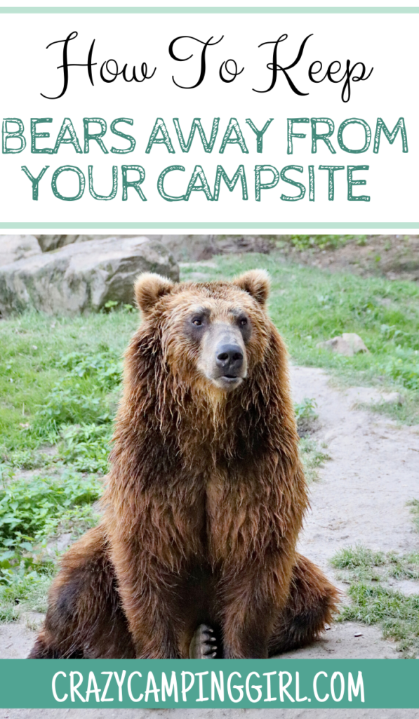 How to Keep Bears Away From Your Campsite  