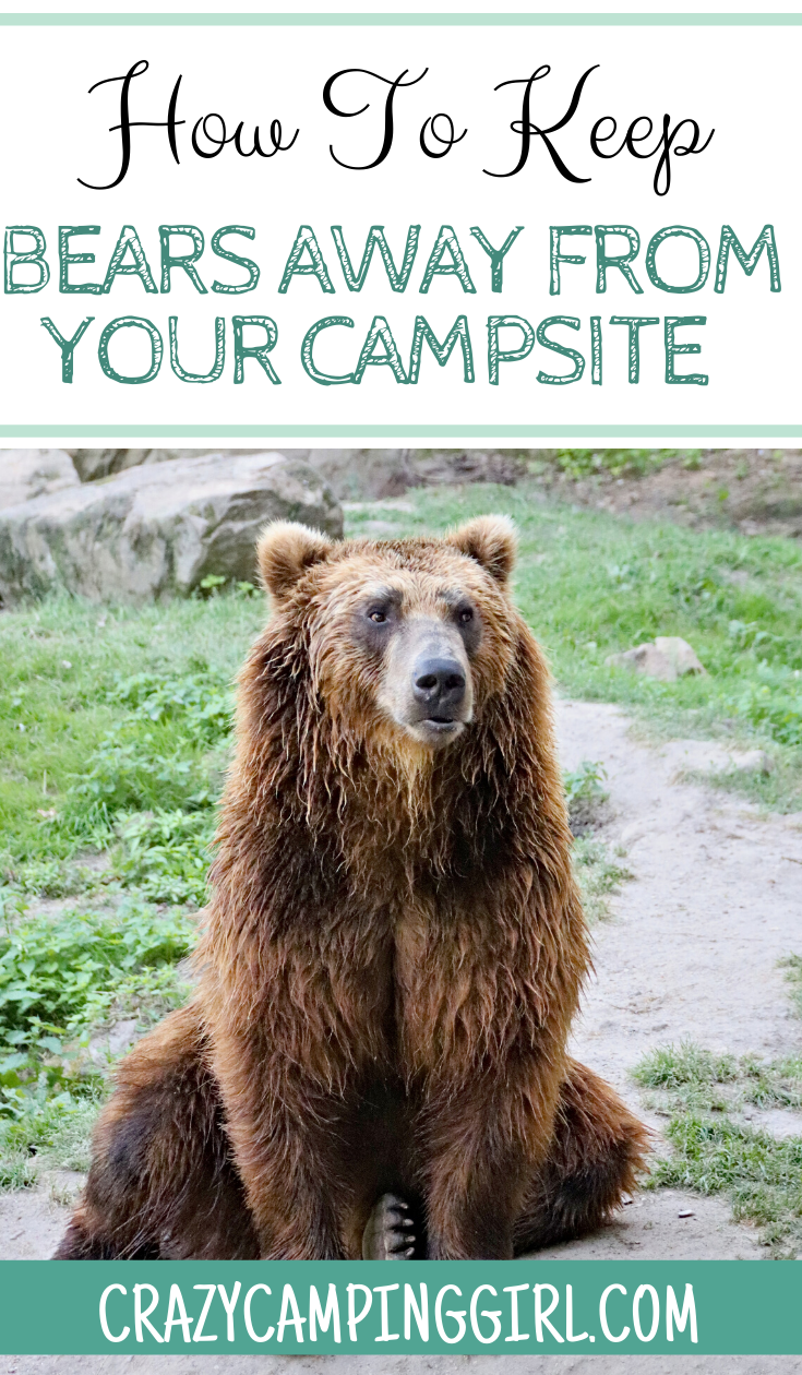 How To Keep Bears Away From Your Campsite - Crazy Camping Girl