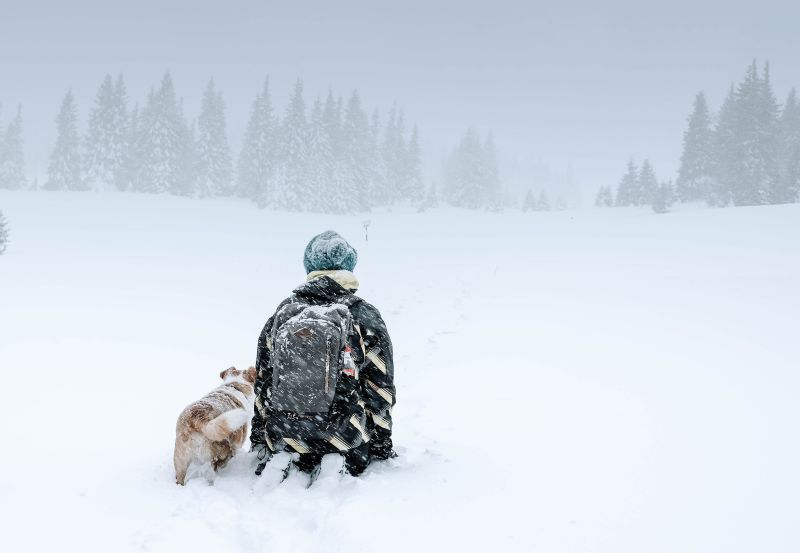 winter camping hacks trying to stay warm man and his dog in a blizzard