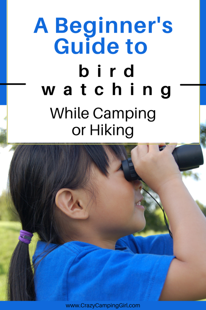 A Beginner's Guide to Bird Watching While Camping or Hiking