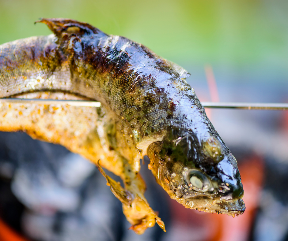 Best Way To Cook Fish Over A Campfire