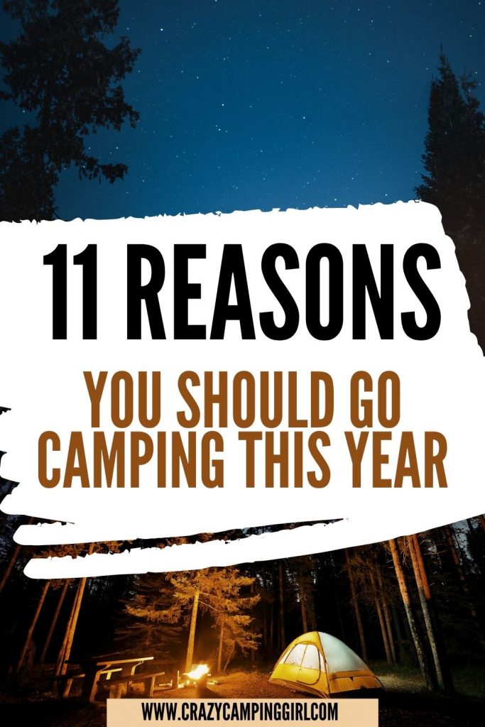 11 Reasons You Should Go Camping This Year
