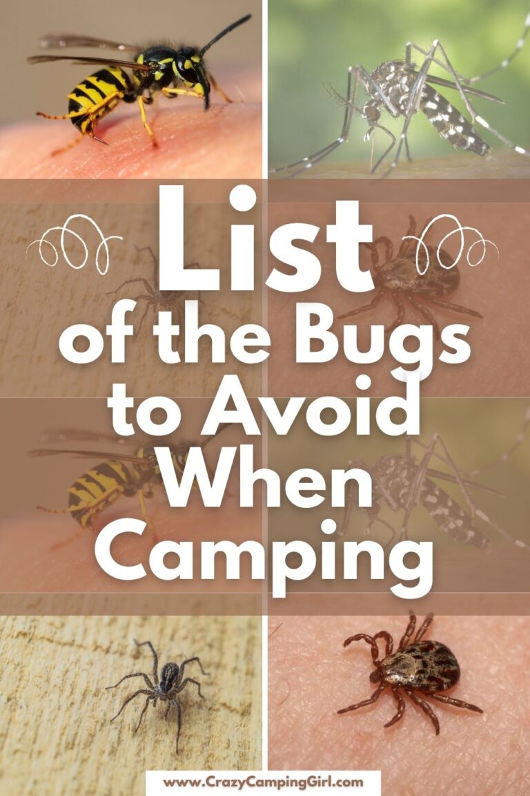 List of the Bugs to Avoid When Camping - Crazy Camping Girl