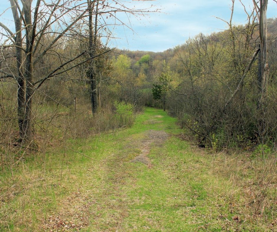 great hiking trails at natural bridge