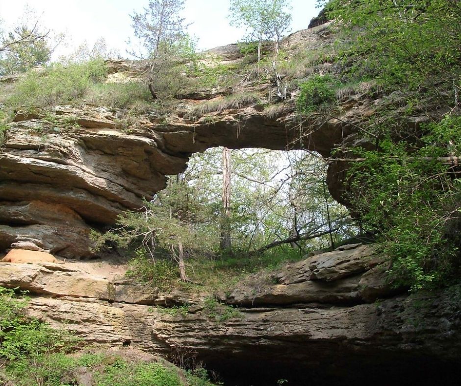 are dogs allowed at natural bridge state park wi