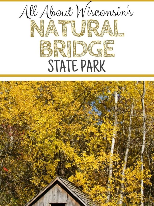 Complete Guide To Natural Bridge State Park Crazy Camping Girl   Cropped Natural Bridge State Park 