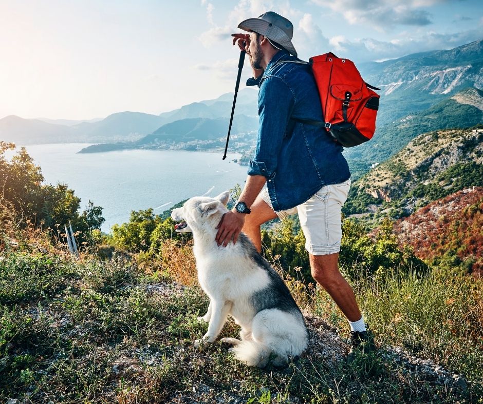 Have a Dog Hiking Checklist