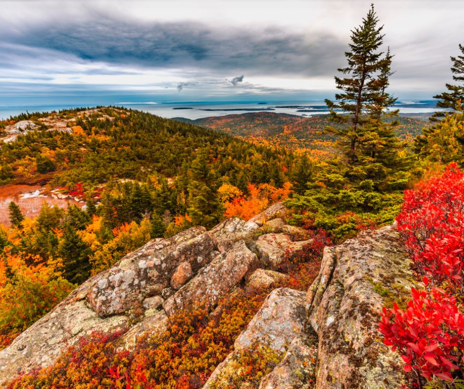 Check out the fall colors from Cadillac Mountain of Acadia National Park Maine