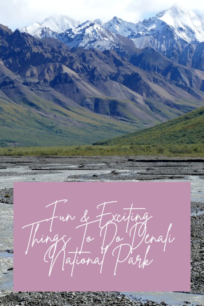 Fun and Exciting Things to Do Denali National Park
