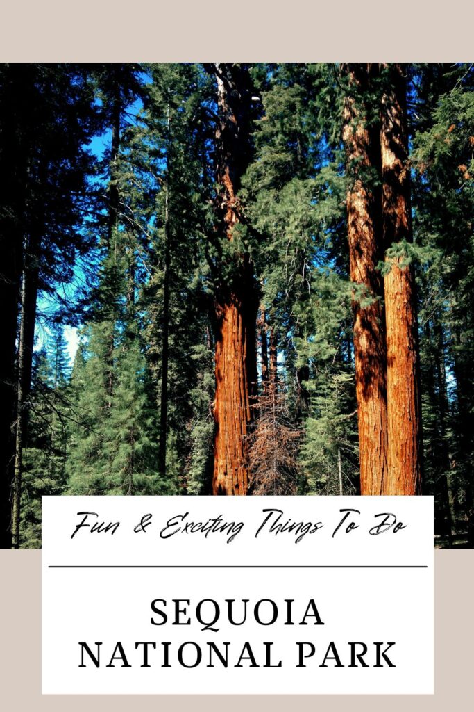 things to do in Sequoia National Park