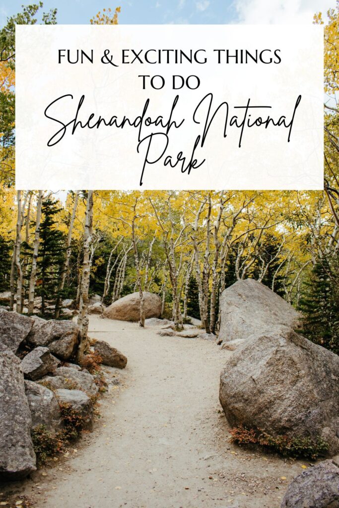 Fun and Exciting Things to Do Shenandoah National Park