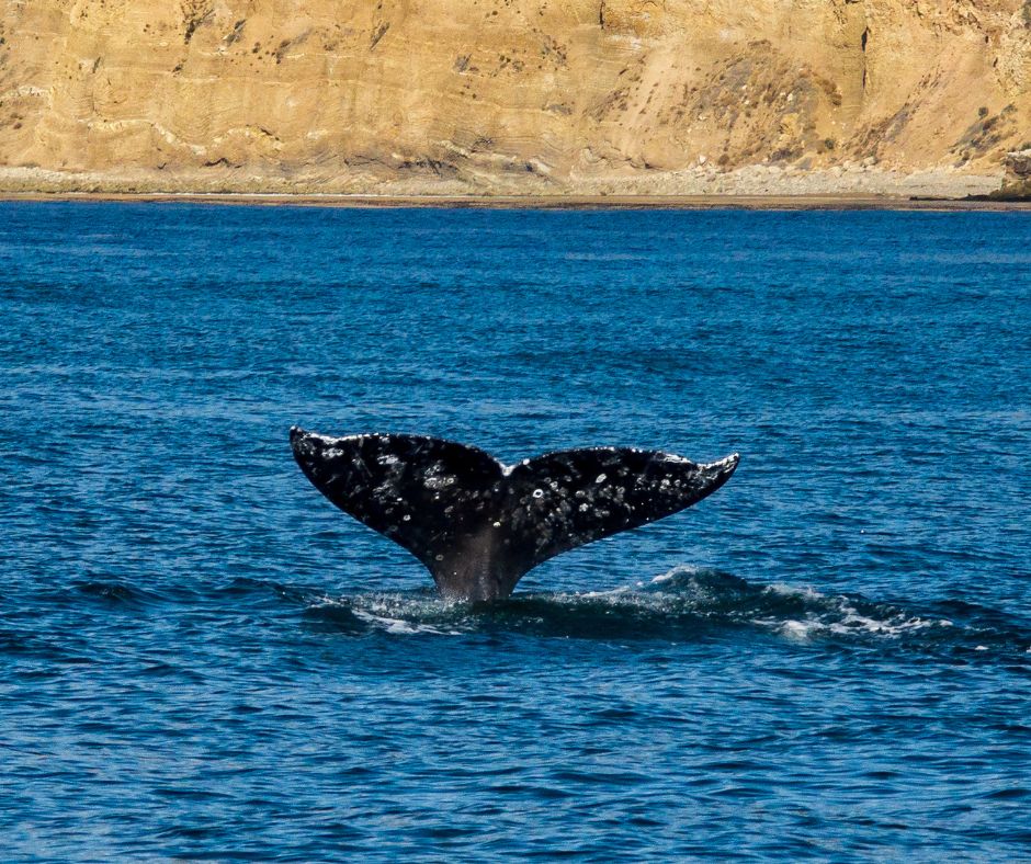 Channel Islands National Park Camping Activities