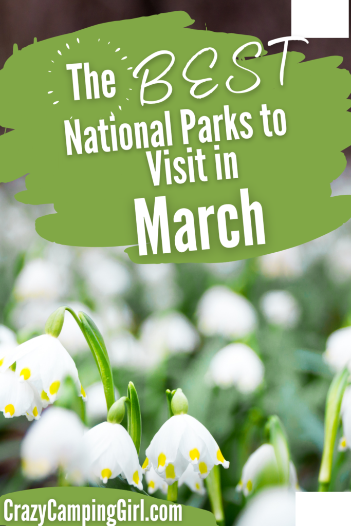 The Best National Parks to Visit in March