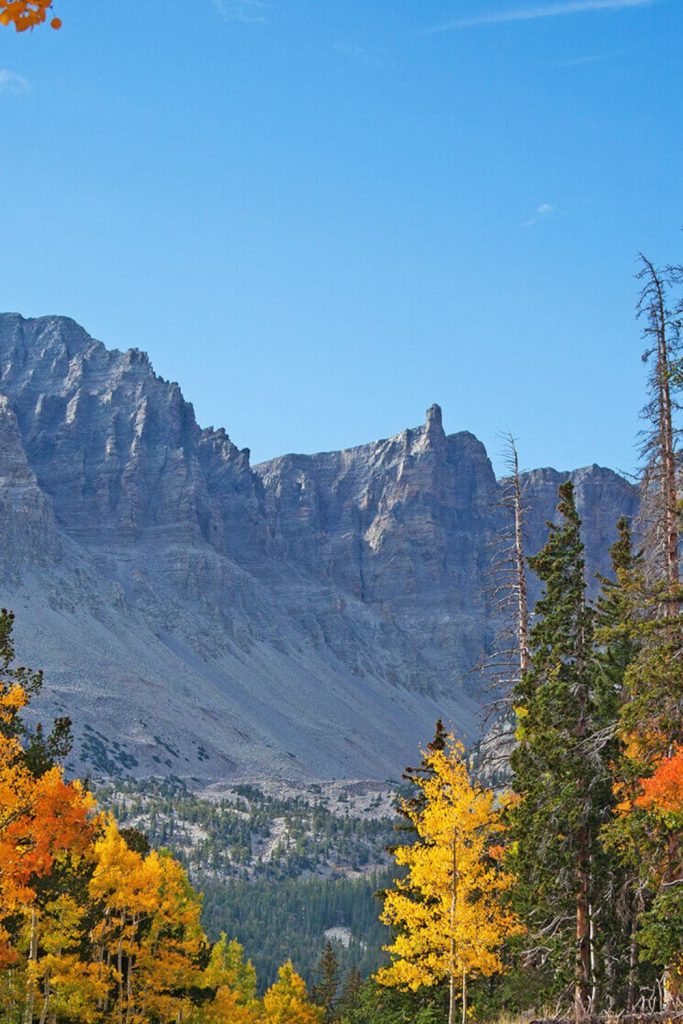 Fun and Exciting Things to Do Great Basin National Park