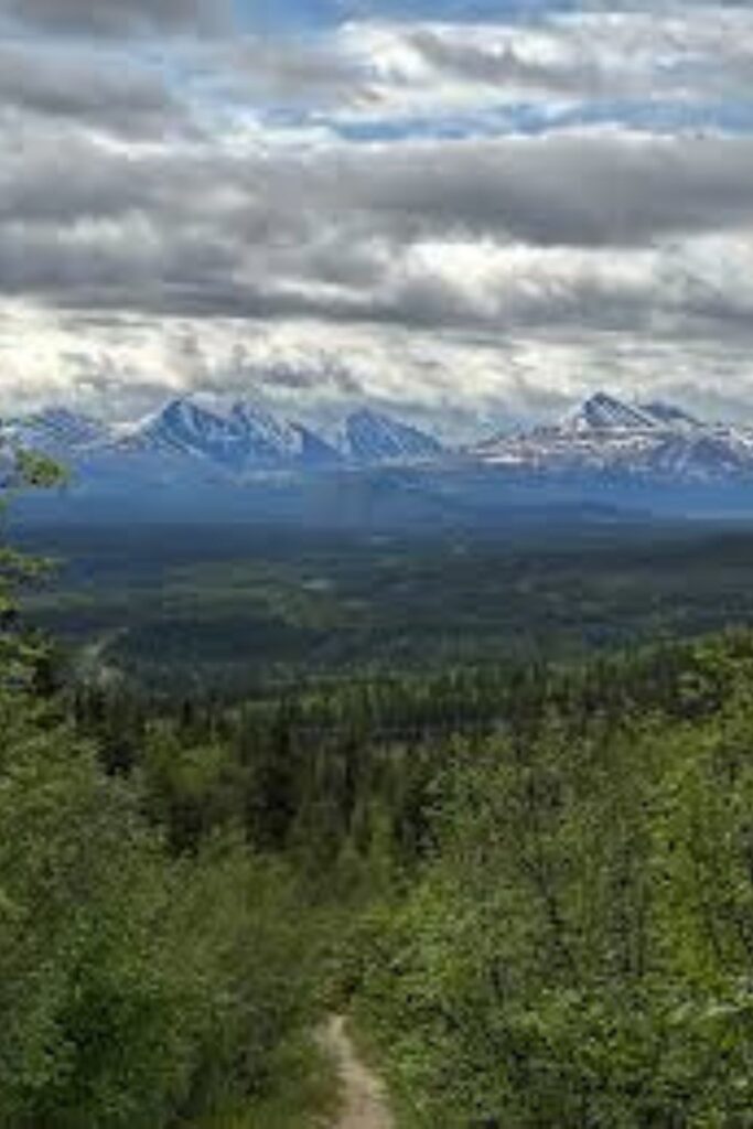 Mt Healy Overlook Trail