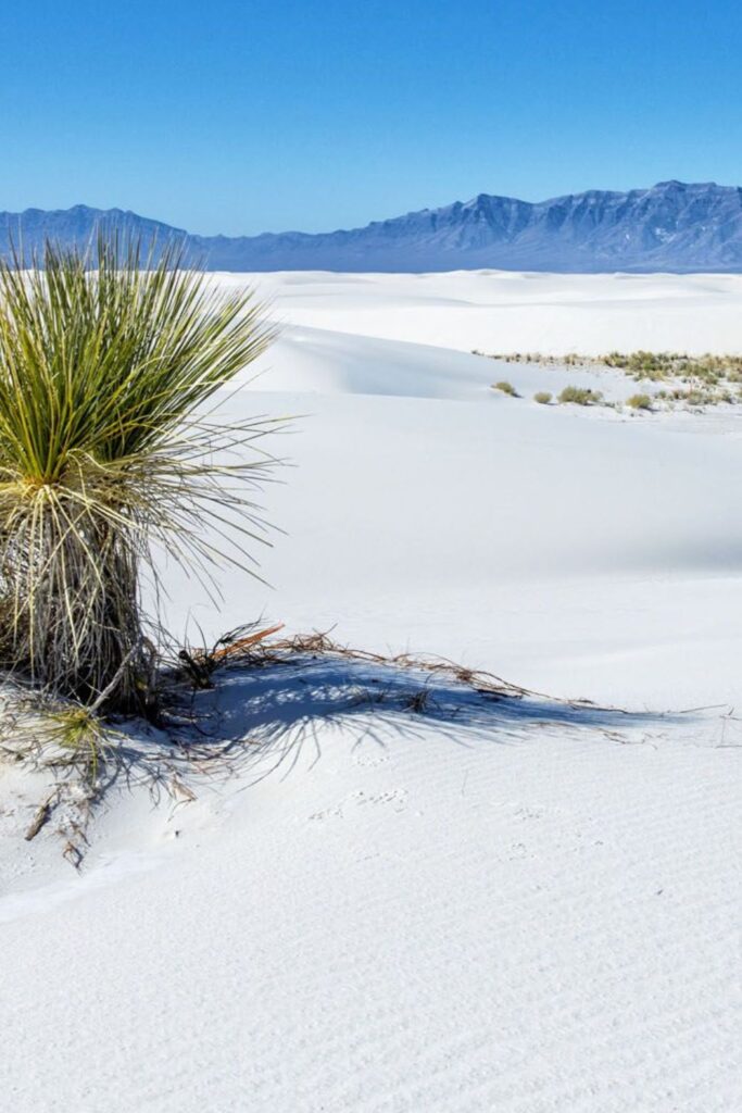 Fun and Exciting Things to Do White Sands National Park