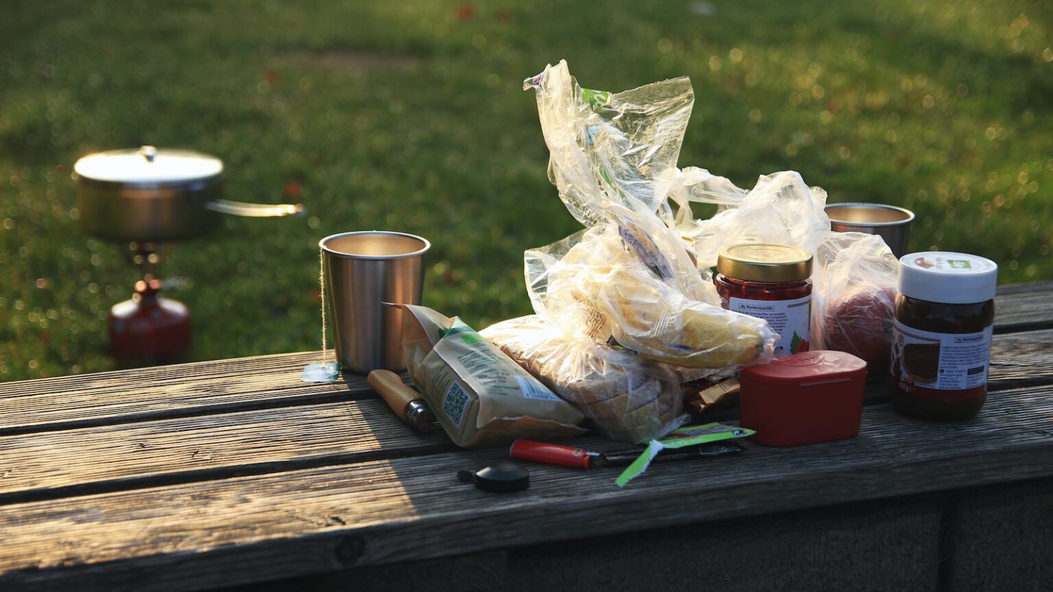 Best Camping Fridge for Your Next Outdoor Adventure - Crazy Camping Girl