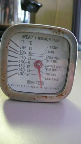 Campfire Beef Recipes meat thermometers are essential