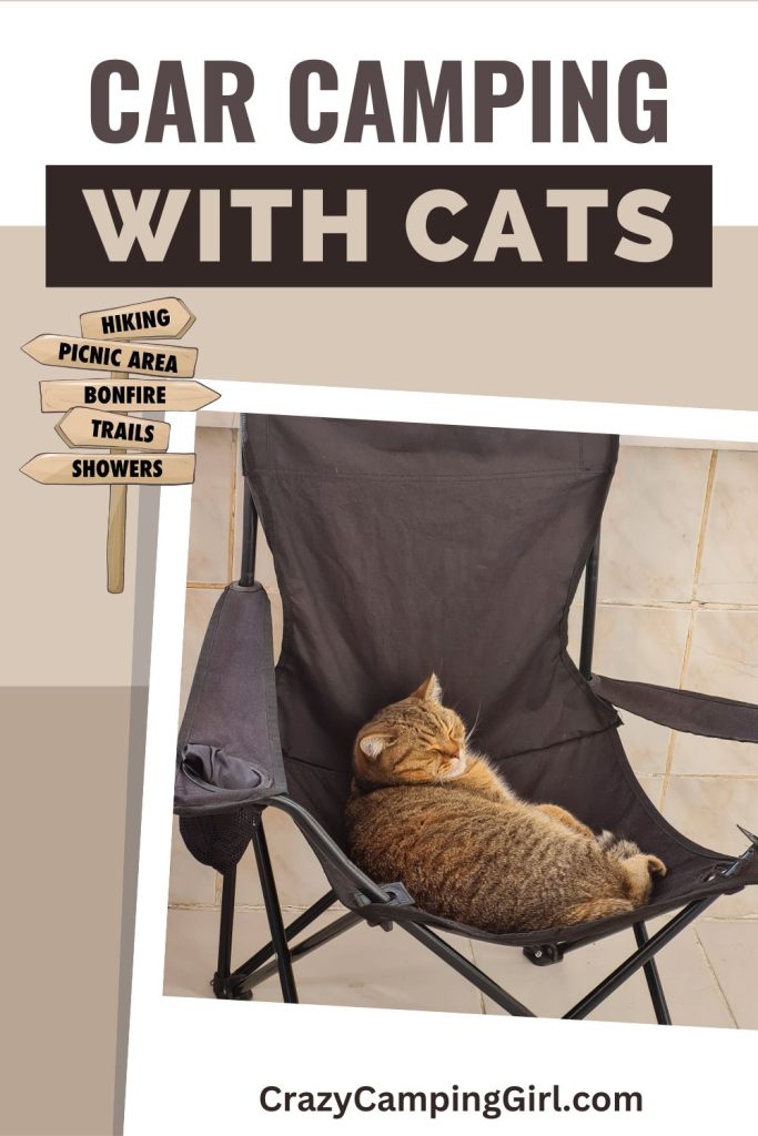 Car Camping with Cats Cover