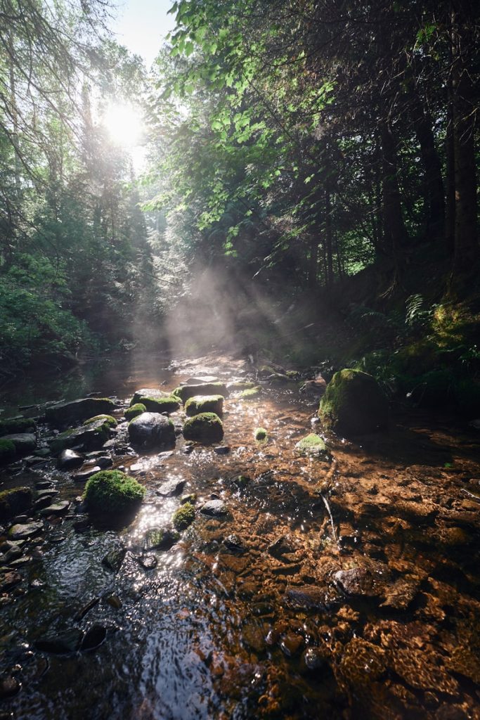 Northern Wisconsin Hiking Trails Apostle Islands