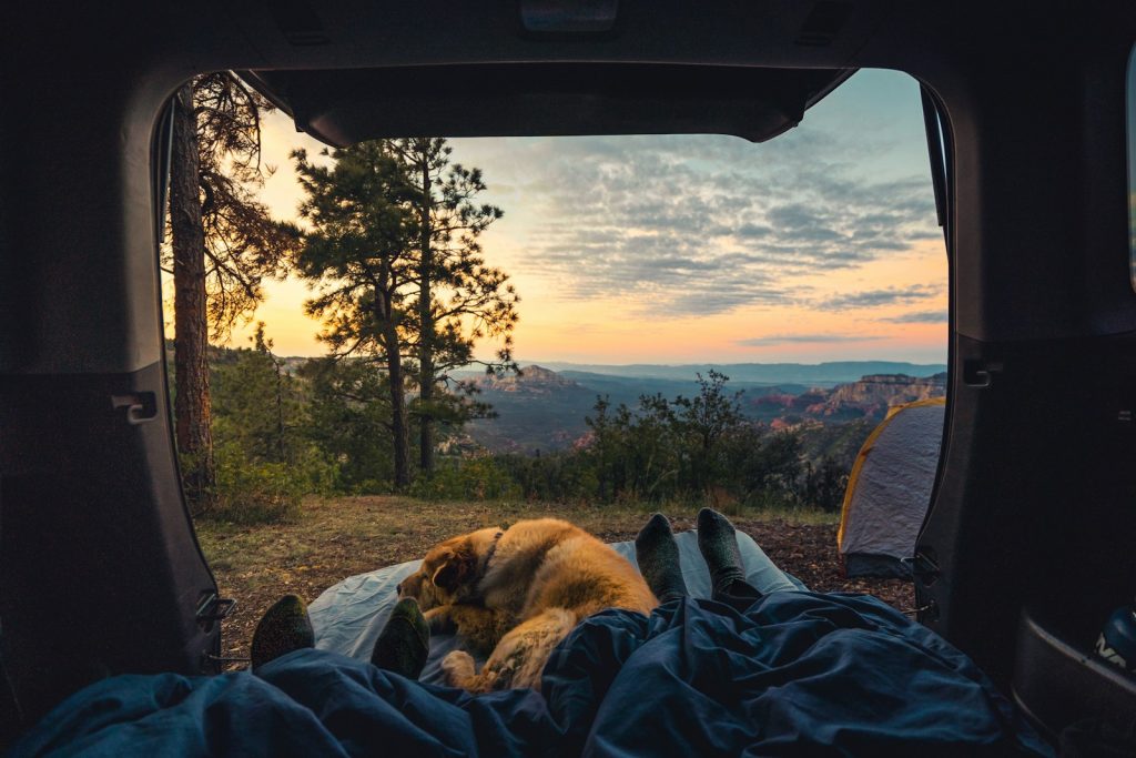 Car Camping Bed Ideas: How to Sleep Comfortably on Your Next Adventure