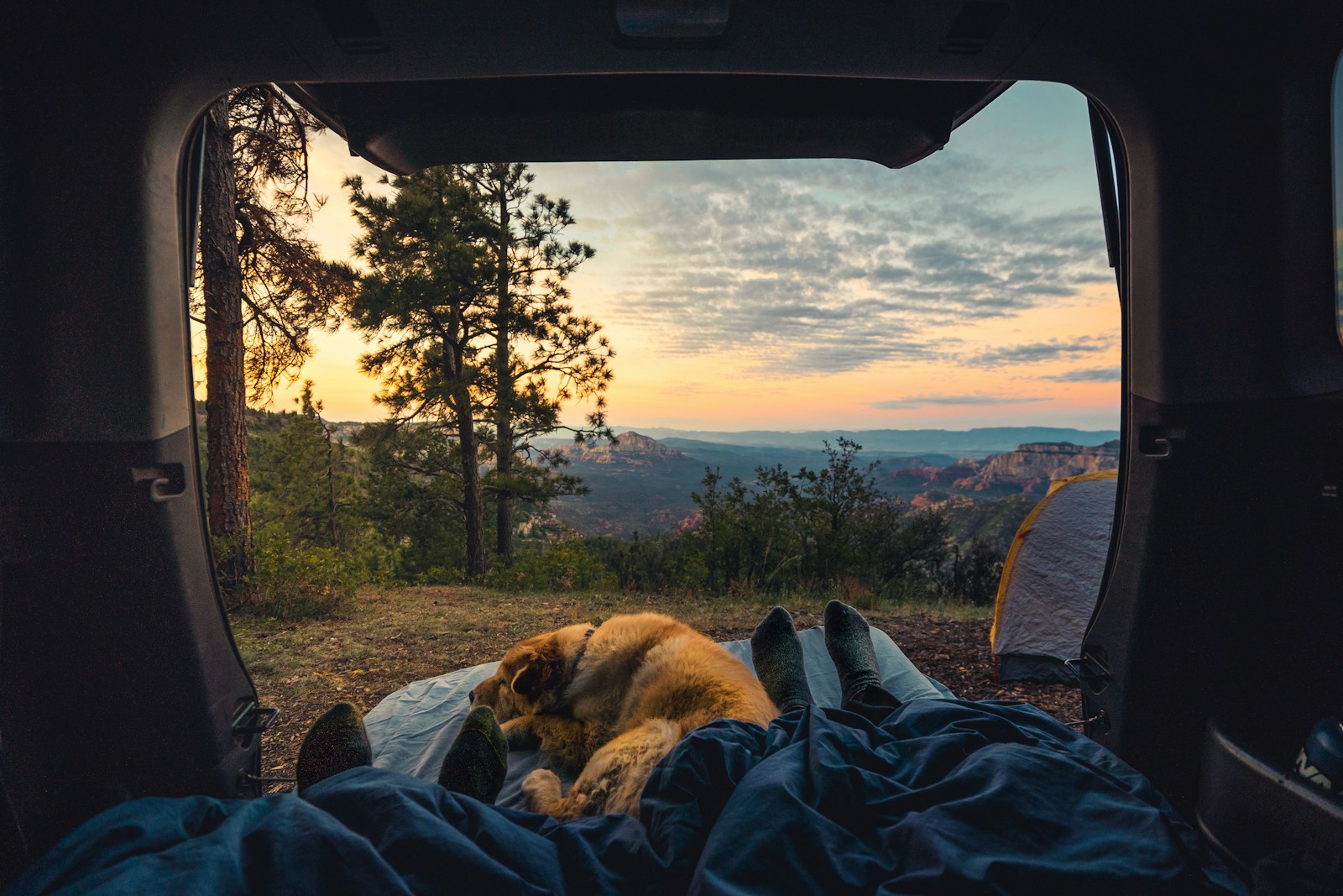 Car Camping Bed Ideas: How To Sleep Comfortably On Your Next Adventure 