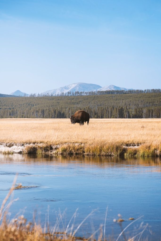 The Best National Parks to Visit in May Yellowstone National Park