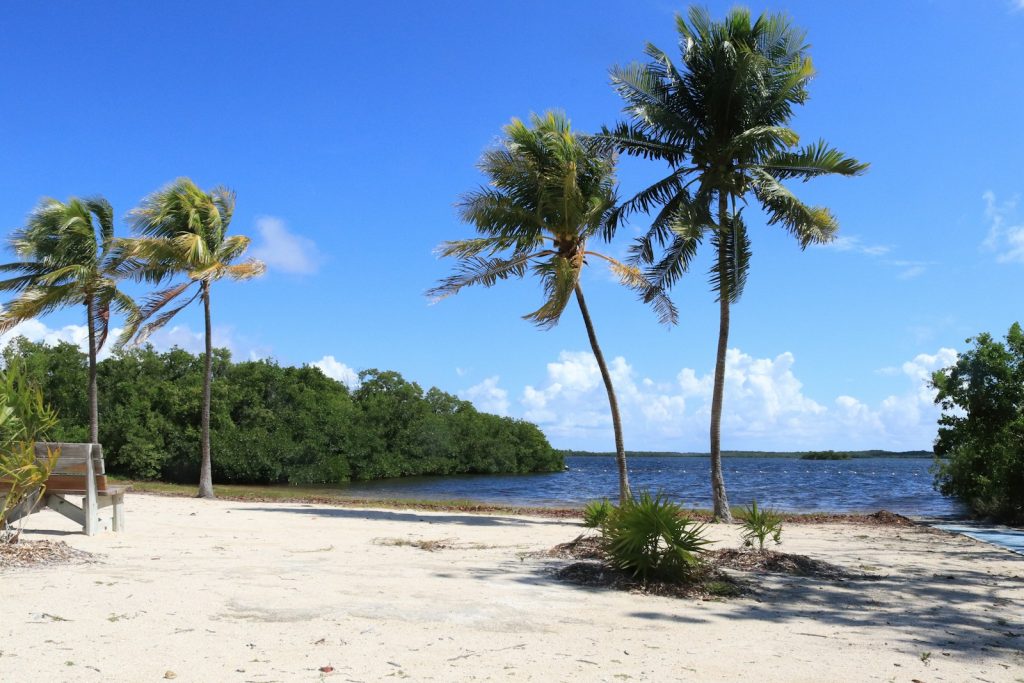 Best Kayaking in the Florida Keys John Pennekamp Coral Reef State Park