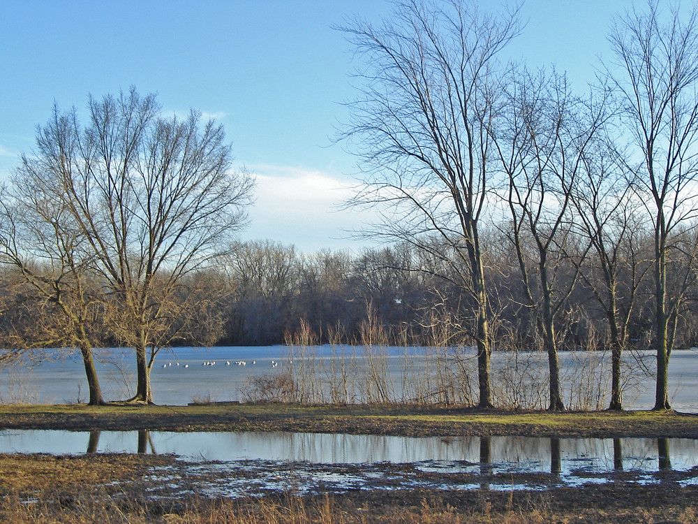 Best Places to Kayak in Illinois: Discover the Top Spots for Paddling