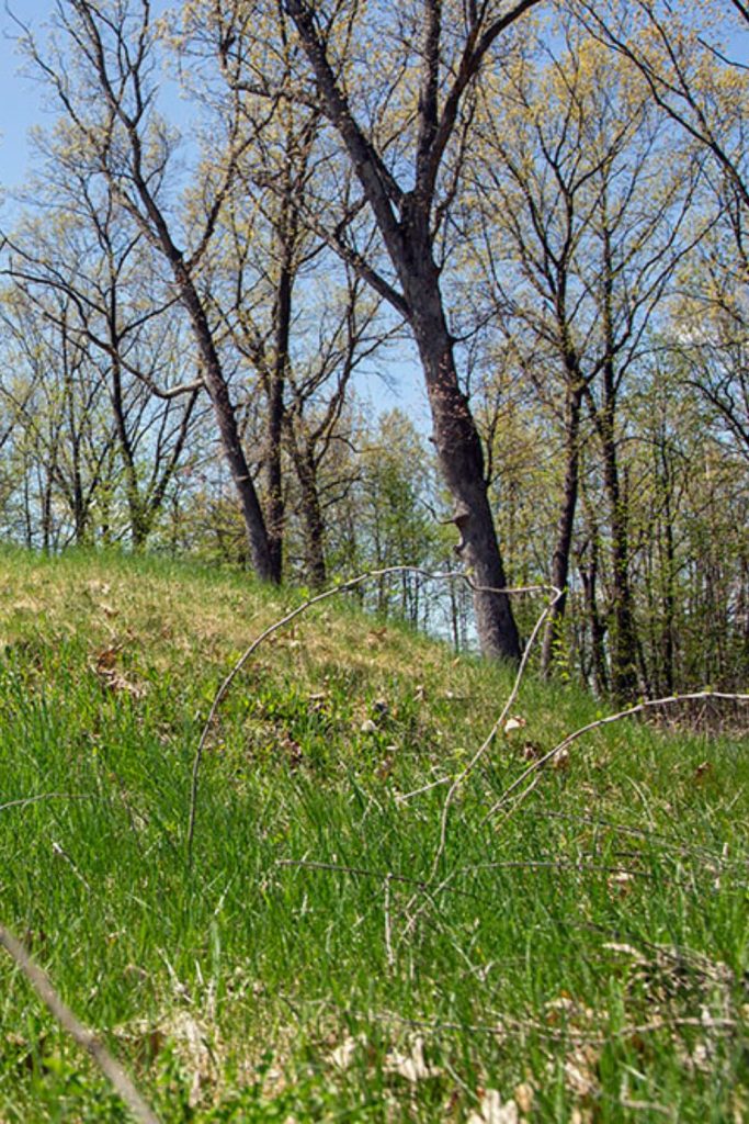 Complete Guide to Lizard Mound State Park some of the mounds contain human remains