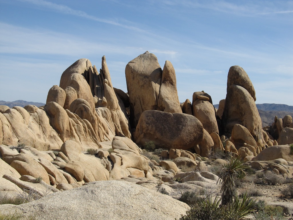 Free Car Camping Joshua Tree National Park
