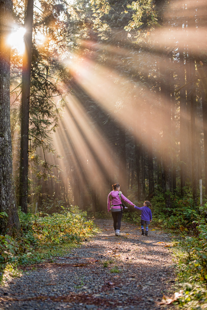 Wilderness Camping hike a trail suitable for everyone in your party
