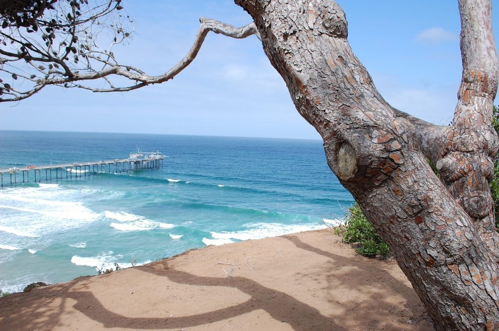 Best Places to Kayak in San Diego: A Comprehensive Guide