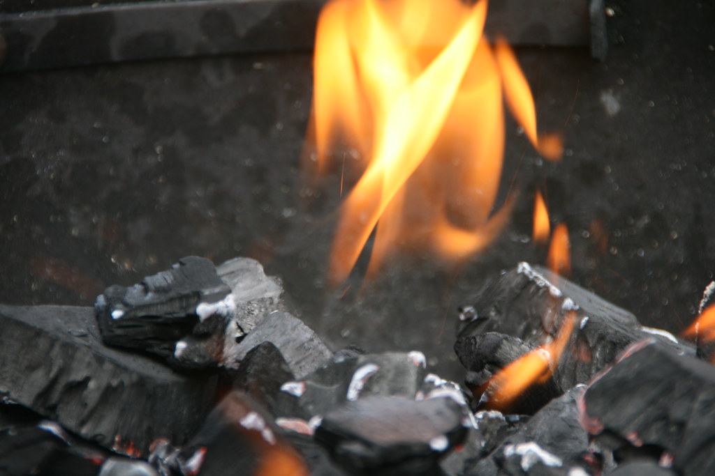 How to Cook Chicken Over a Campfire ensure the coals are hot and glowing