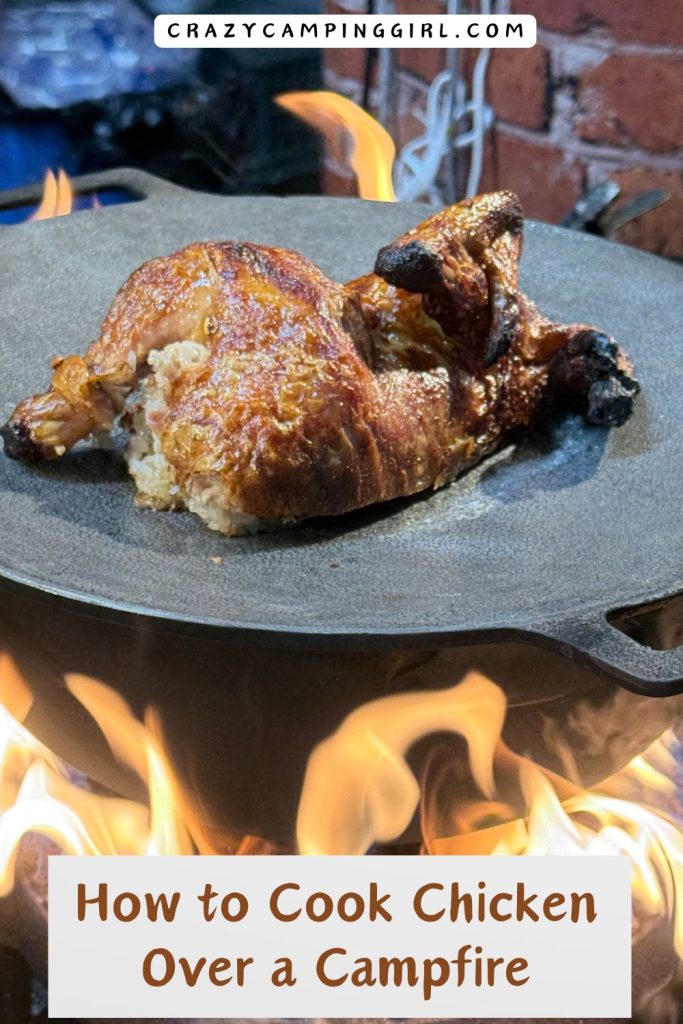 How to Cook Chicken Over a Campfire Cover Image