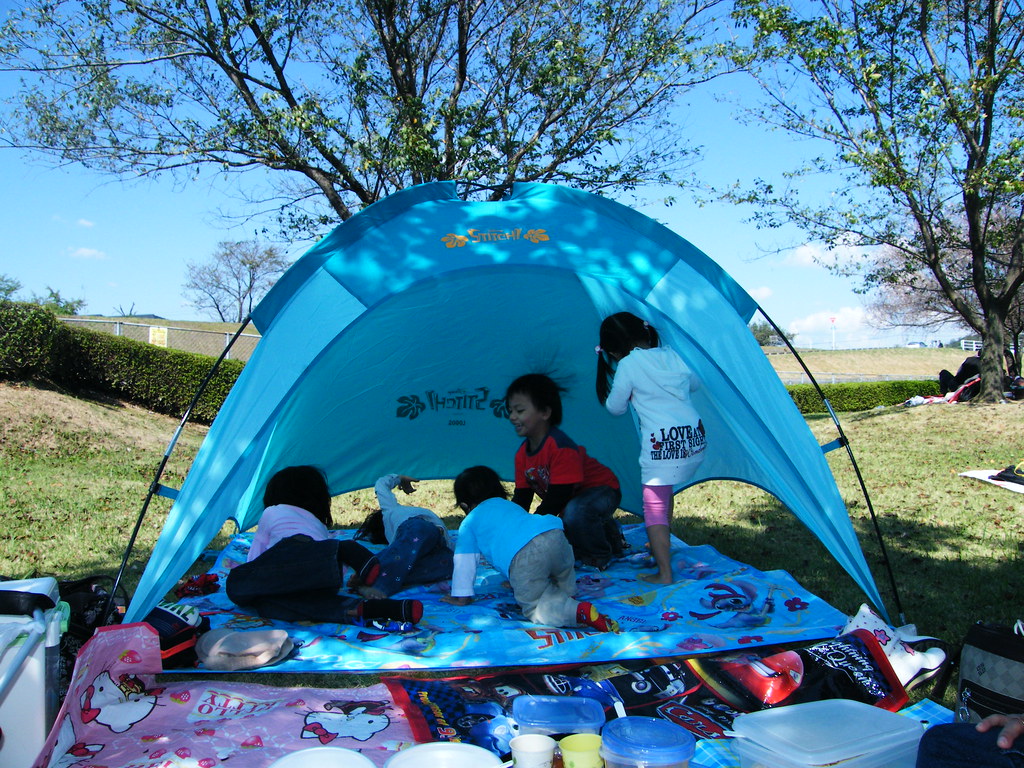 make the surroundings safe for kids and pets