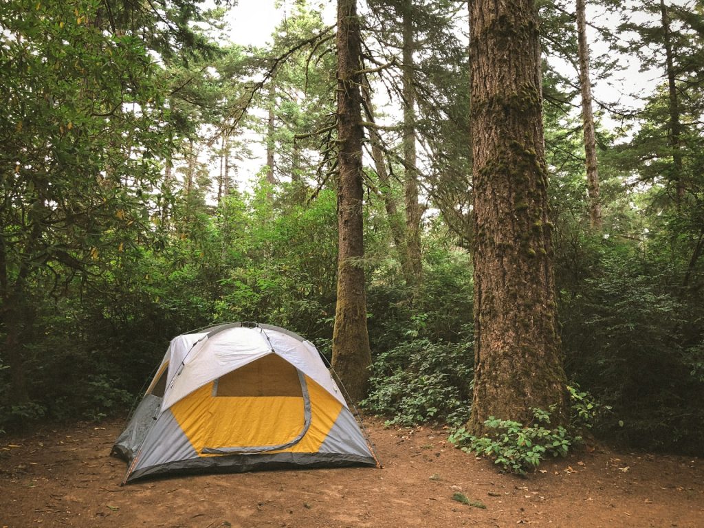 Ways to Stay Cool When Camping camp in a shaded area