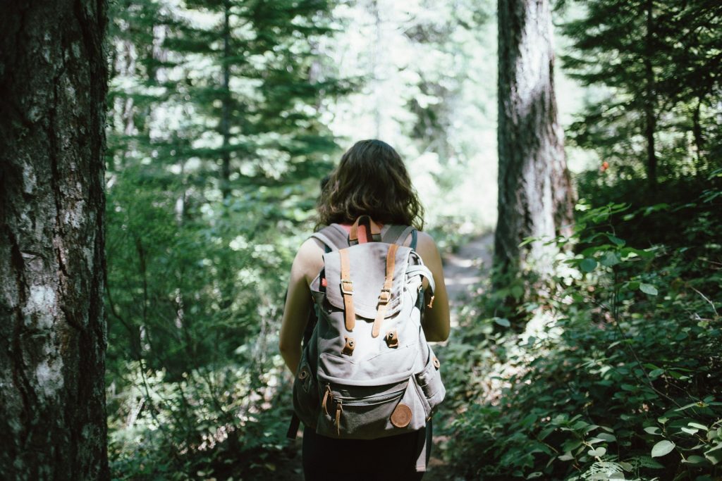 Complete Guide to Lizard Mound State Park hiking, birdwatching and a picnic are allowed in the park